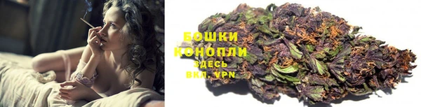 a pvp Новозыбков