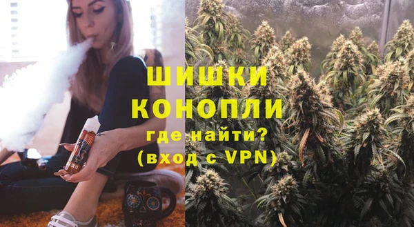 спайс Няндома