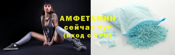 a pvp Новозыбков