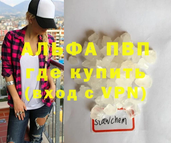 a pvp Новозыбков