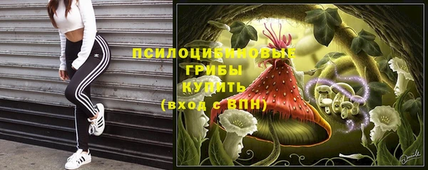 марки nbome Новокубанск