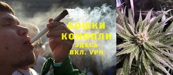 спайс Няндома