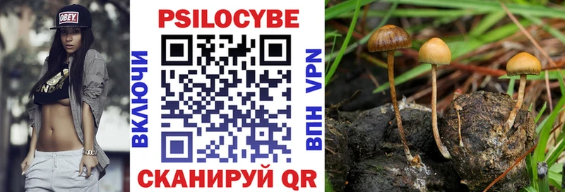 mega как войти  сколько стоит  Комсомольск  Галлюциногенные грибы Psilocybine cubensis 